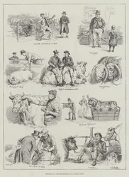 Skizzen auf der Smithfield Club Viehschau